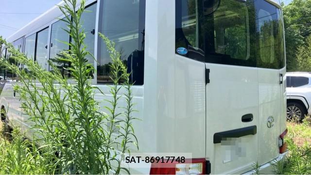 Toyota COASTER 2026-06 8281968-12