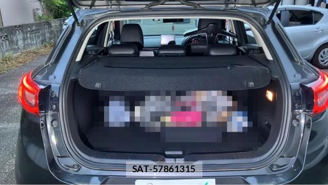 Mazda CX-3 2015-04 8280876-17