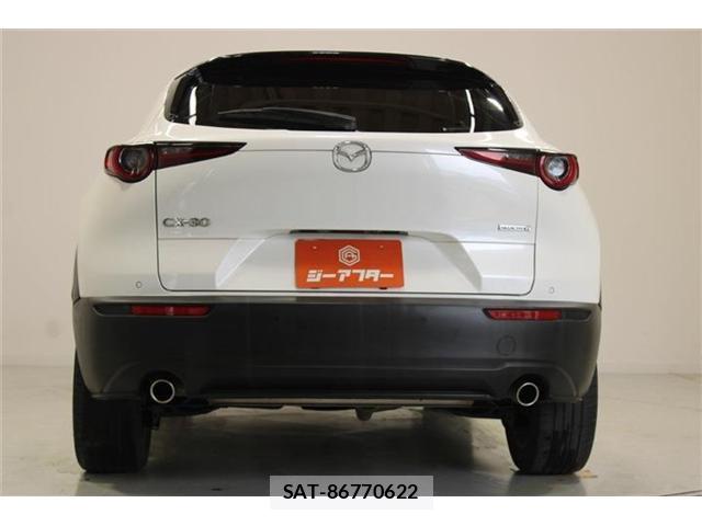 Mazda CX-30 2020-01 8277367-11