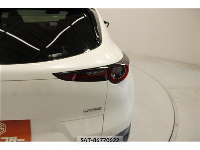 Mazda CX-30 2020-01 8277367-18