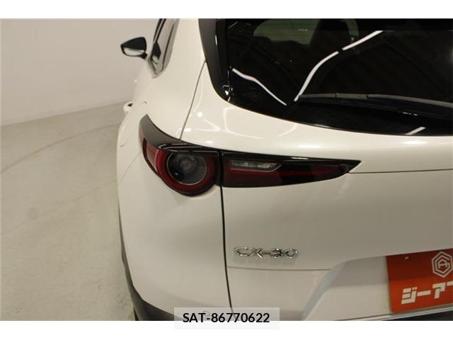 Mazda CX-30 2020-01 8277367-19