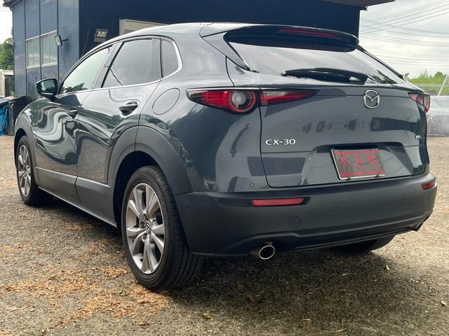 Mazda CX-30 2020-03 8277962-18