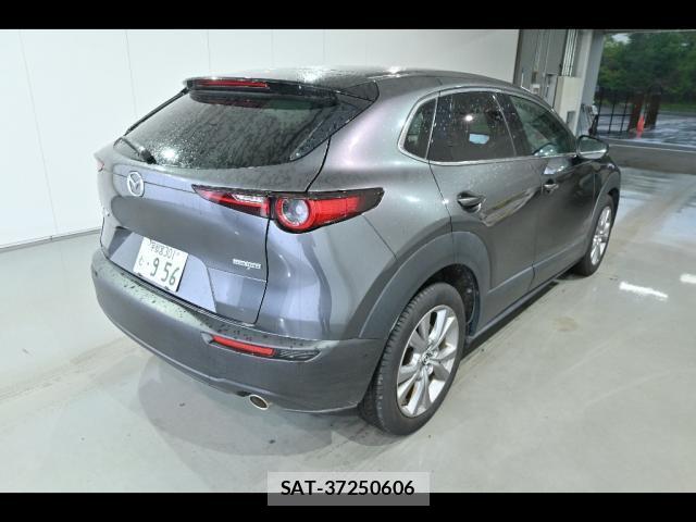 Mazda CX-30 2019-12 8278259-1