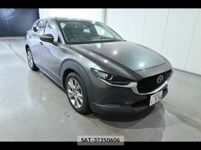 Mazda CX-30 2019-12 8278259-3