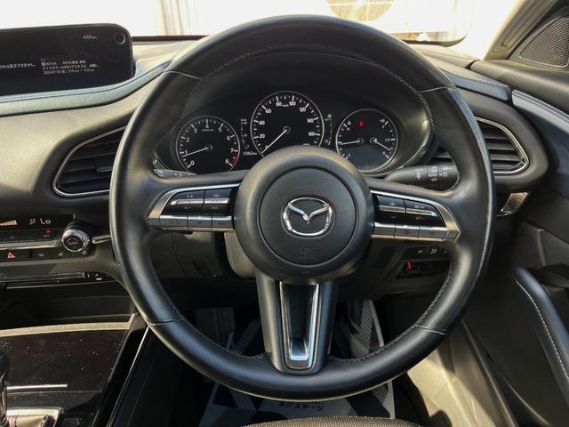 Mazda CX-30 2020-03 8279420-11