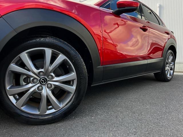 Mazda CX-30 2020-03 8279420-13