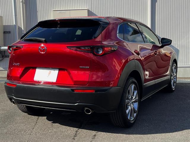 Mazda CX-30 2020-03 8279420-17