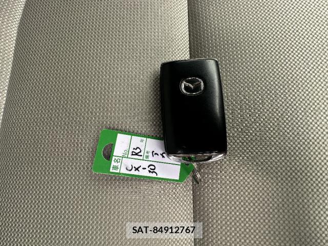 Mazda CX-30 2021-02 8280306-6