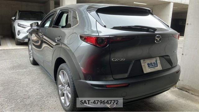 Mazda CX-30 2020-12 8281296-13