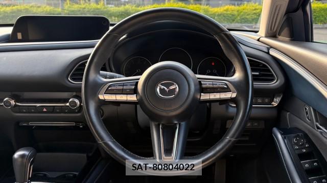 Mazda CX-30 2020-04 8282208-16