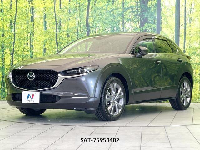 Mazda CX-30 2023-08 8282620-13