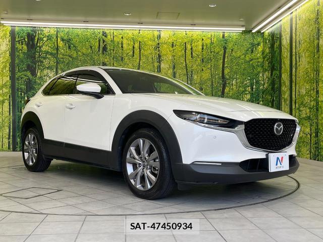 Mazda CX-30 2019-09 8284923-15