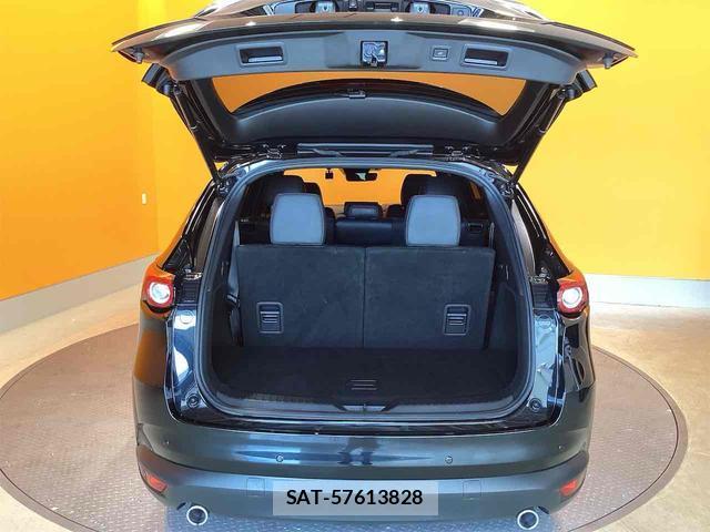 Mazda CX-8 2022-10 8276746-14