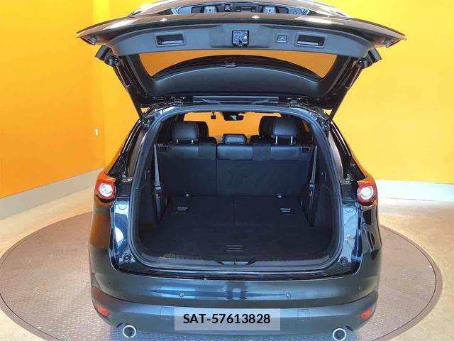 Mazda CX-8 2022-10 8276746-15