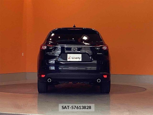 Mazda CX-8 2022-10 8276746-8