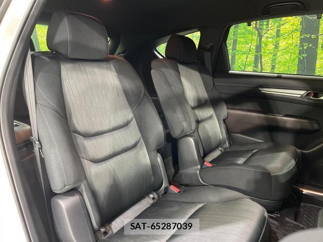 Mazda CX-8 2019-12 8278082-7