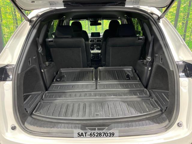 Mazda CX-8 2019-12 8278082-9