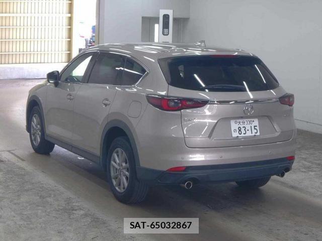 Mazda CX-8 2023-08 8278293-4