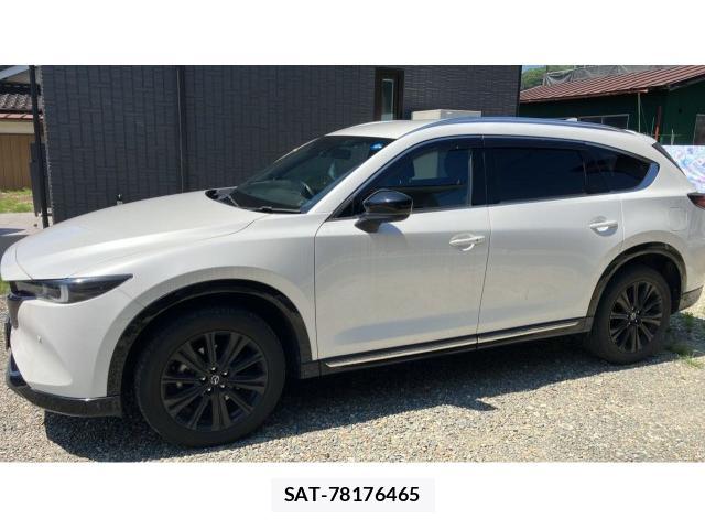 Mazda CX-8 2023-03 8278878-10