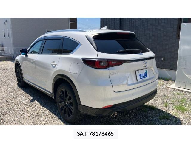 Mazda CX-8 2023-03 8278878-13