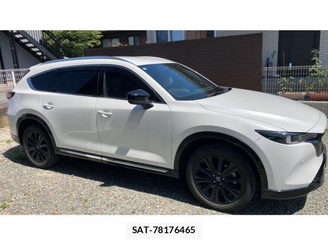 Mazda CX-8 2023-03 8278878-3
