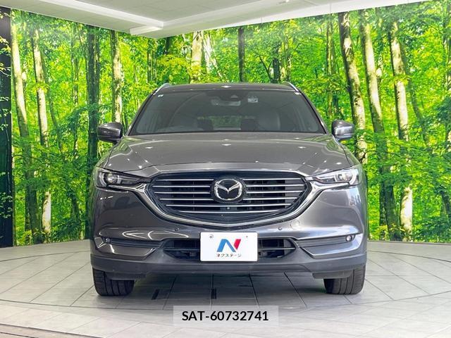 Mazda CX-8 2019-08 8279472-13