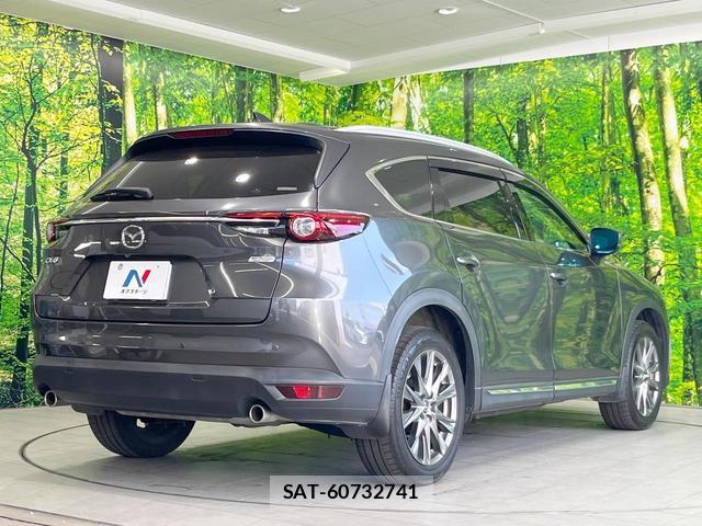 Mazda CX-8 2019-08 8279472-16
