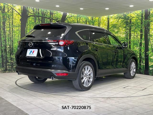 Mazda CX-8 2019-03 8280116-16