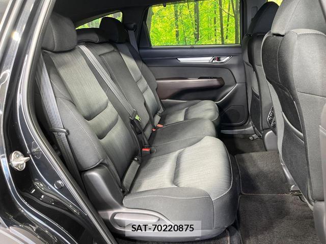 Mazda CX-8 2019-03 8280116-8