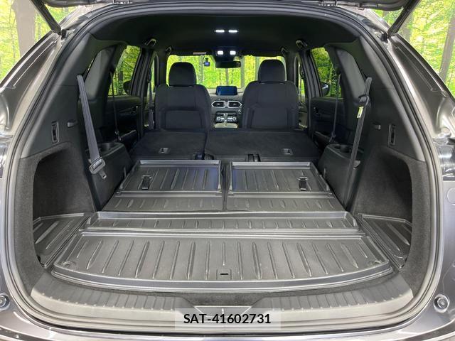 Mazda CX-8 2018-09 8280117-10