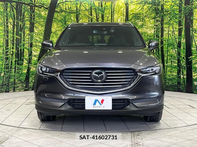 Mazda CX-8 2018-09 8280117-14