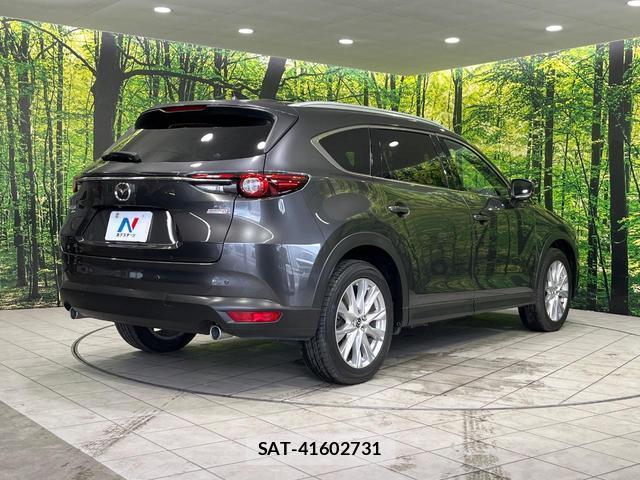 Mazda CX-8 2018-09 8280117-17