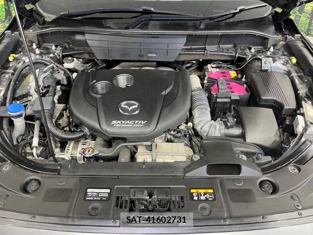 Mazda CX-8 2018-09 8280117-18
