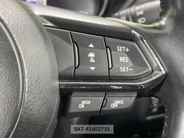 Mazda CX-8 2018-09 8280117-5