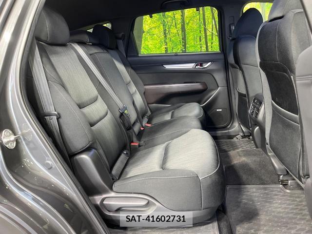 Mazda CX-8 2018-09 8280117-8