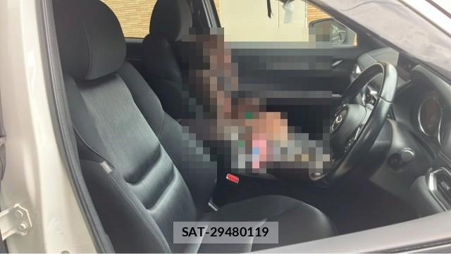 Mazda CX-8 2018-04 8281286-5