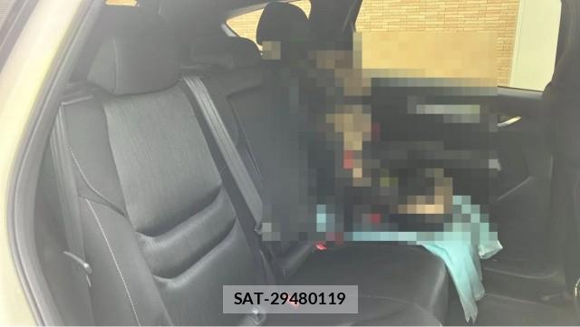 Mazda CX-8 2018-04 8281286-6