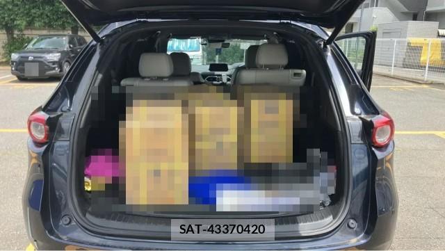 Mazda CX-8 2018-11 8282269-17