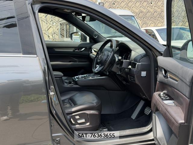 Mazda CX-8 2020-01 8282594-13