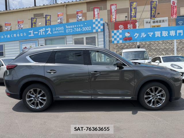 Mazda CX-8 2020-01 8282594-8