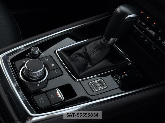 Mazda CX-8 2020-08 8283265-8