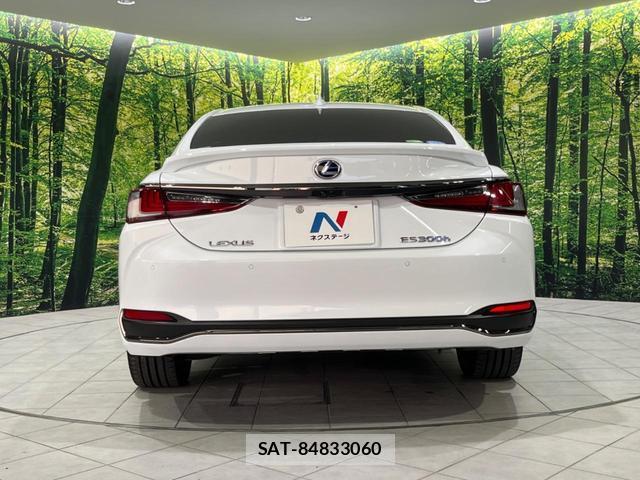 Lexus ES 2020-04 8278067-14