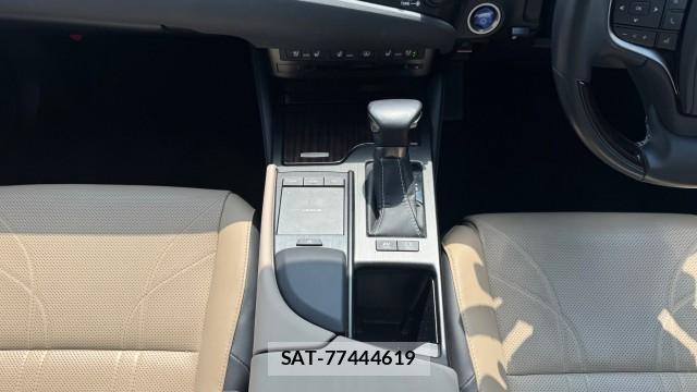 Lexus ES 2019-03 8281125-14