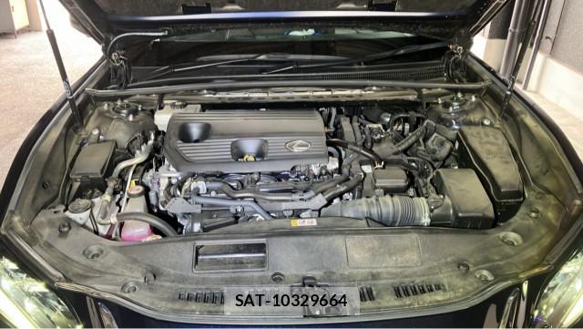 Lexus ES 2023-08 8282364-7