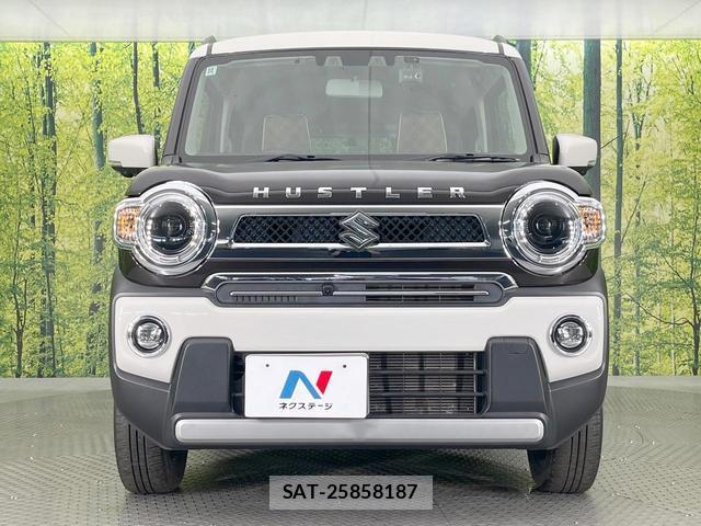 Suzuki HUSTLER 2022-10 8279996-13