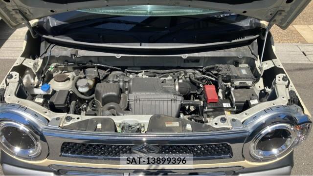 Suzuki HUSTLER 2021-07 8280595-7