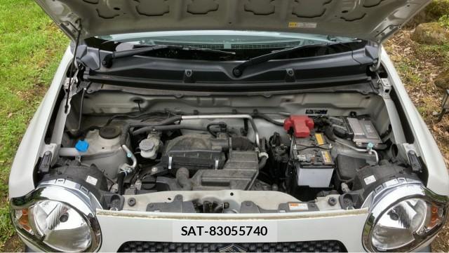 Suzuki HUSTLER 2019-09 8282353-7