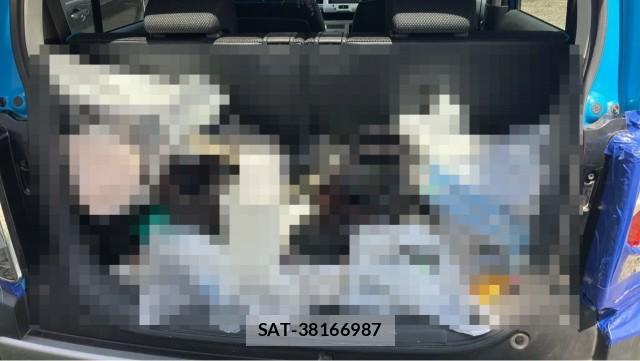 Suzuki HUSTLER 2015-08 8282508-17