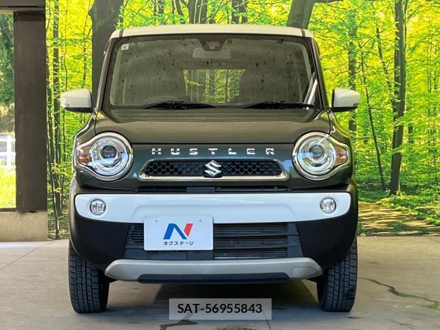 Suzuki HUSTLER 2015-09 8284132-13