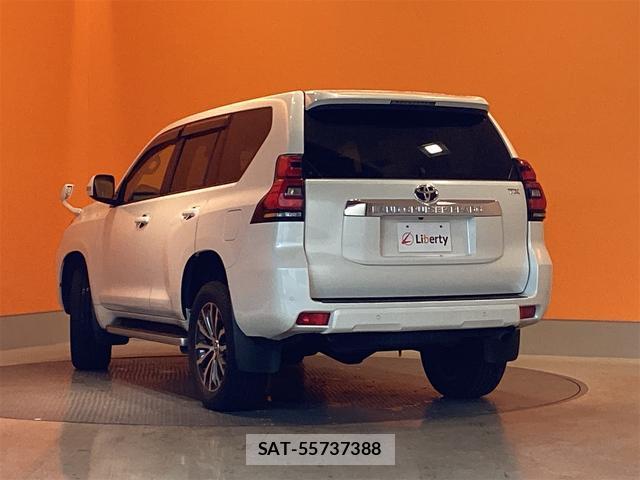 Toyota LAND CRUISER PRADO 2020-03 8276743-11